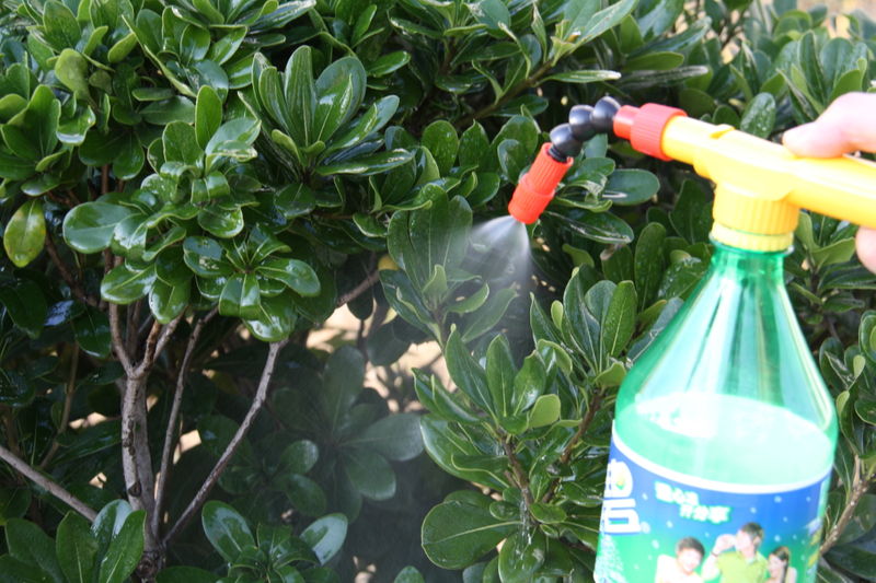 COLA sprayer head portable water gun
